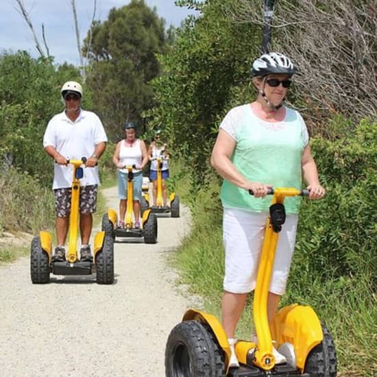 gold coast segway safari adventure