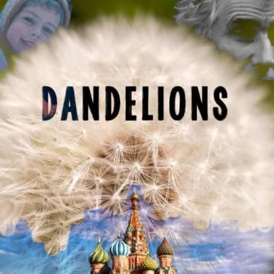 Dandelions