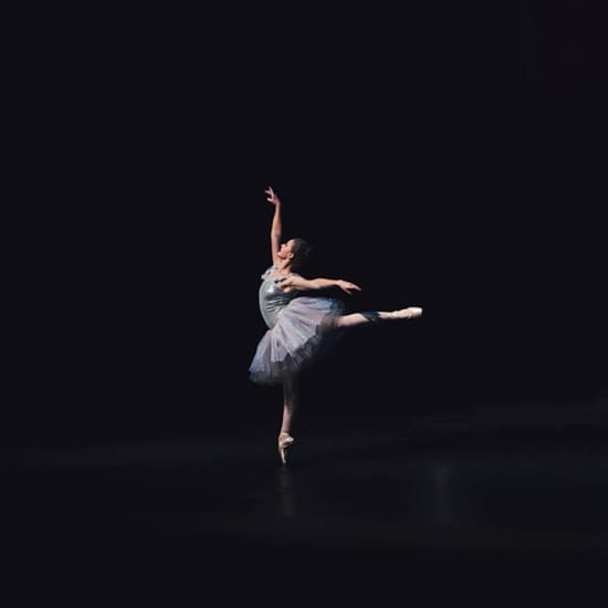 Rodin Boris Eifman Ballet Lyon Fever