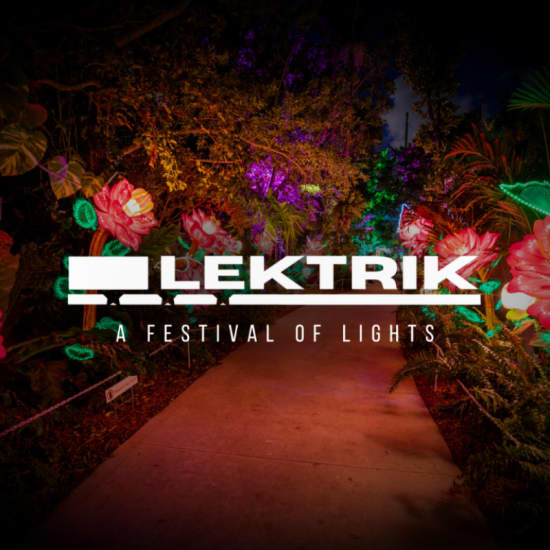 Lektrik: A Festival of Lights