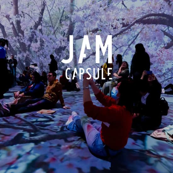 JAM CAPSULE : expérience culturelle immersive - Liste d’attente