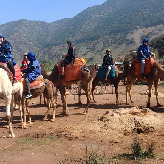 Excursion d'une journée dans le désert d'Agafay depuis Marrakech et promenade à dos de chameau 