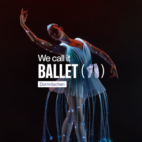 We call it Ballet: Dornröschen, eine Tanz- & Lichtshow