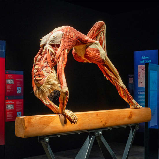 Body Worlds