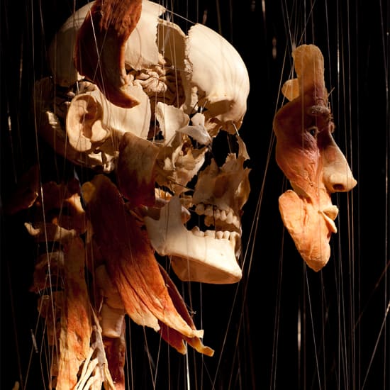 Body Worlds