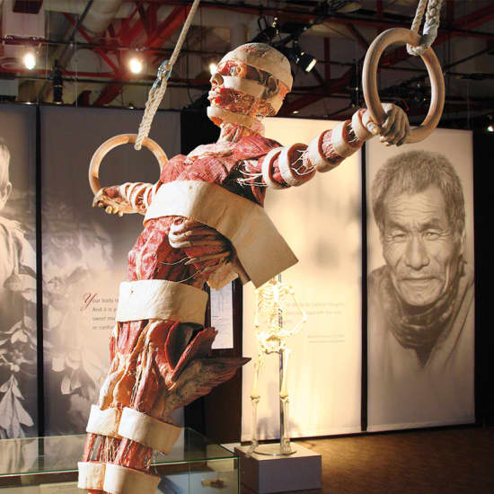 Body Worlds