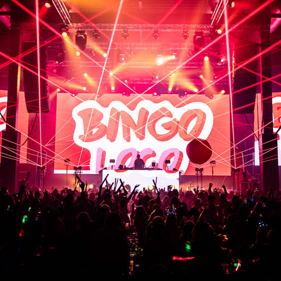 Bingo Loco: The Ultimate Bingo Party