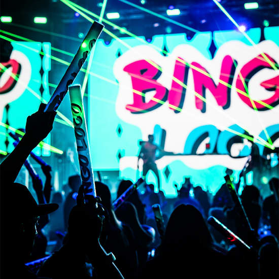 Bingo Loco: The Ultimate Bingo Party