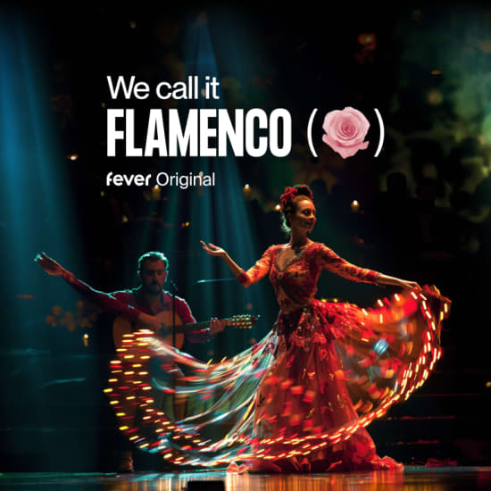 [SSI TEST] We call it Flamenco: A Dazzling Dance & Light Show