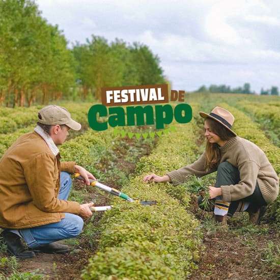 Festival de campo: actividades, gastronomía, música y más