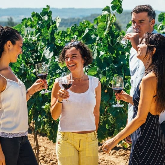 Paseo en velero y tour de vino de Alella