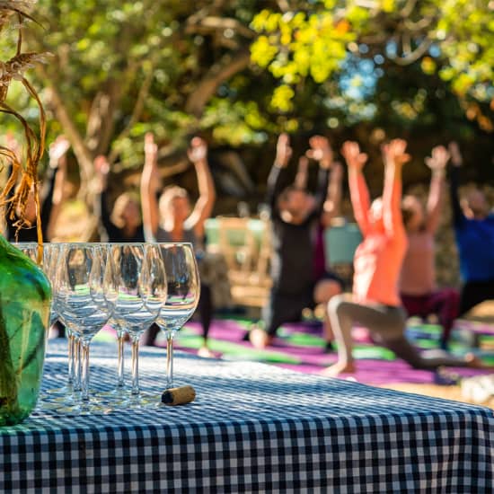 Clase de yoga entre viñas + cata + maridaje