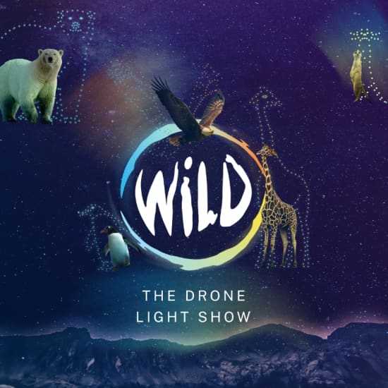 WILD: The Drone Light Show – Southampton