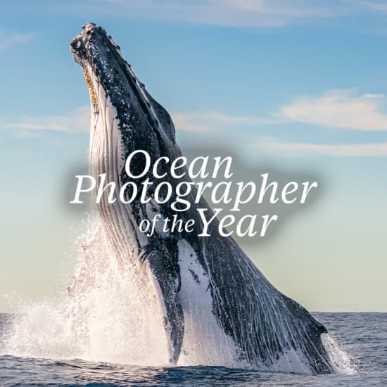 Ocean Photographer of the Year Exhibition