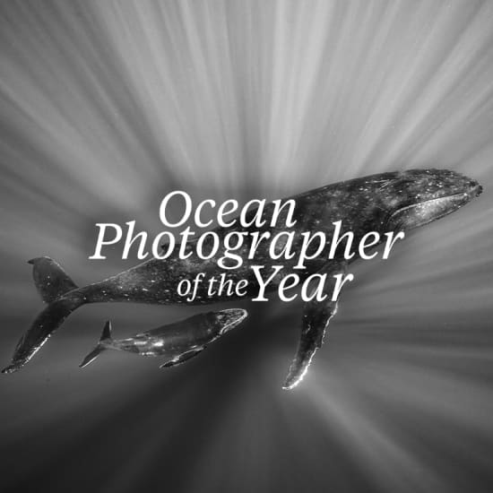 Ocean Photographer of the Year Exhibition