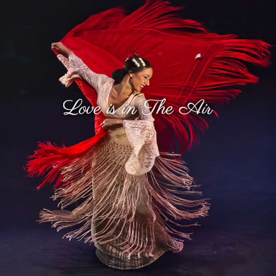 Love is in the Air: An Outstanding Flamenco Performance