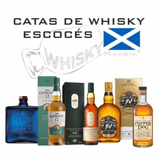 Cata de iniciación al whisky en Holy Drop