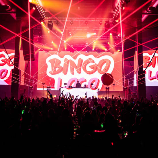 Bingo Loco: La mejor fiesta de bingo