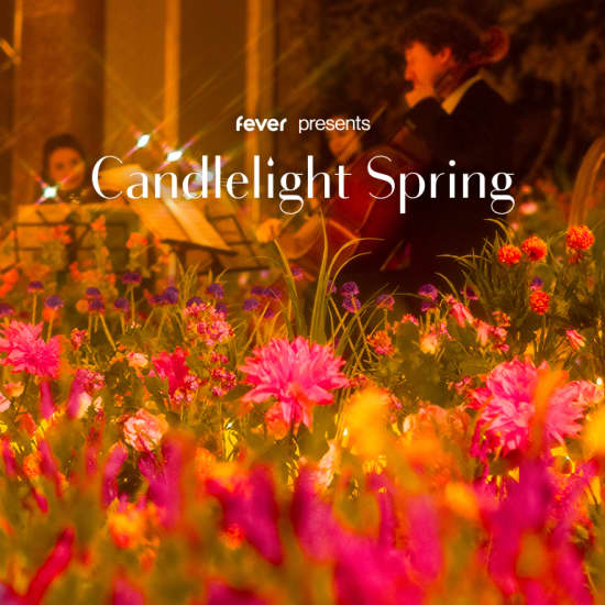 Candlelight Spring: Featuring Vivaldi’s Four Seasons & More