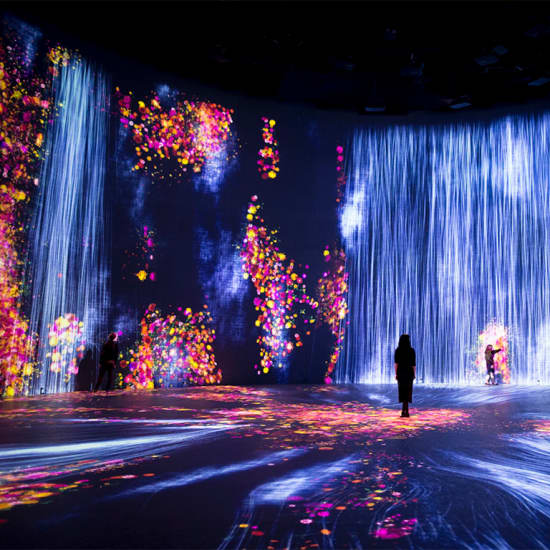 Superblue Miami: Immersive Art Experiences