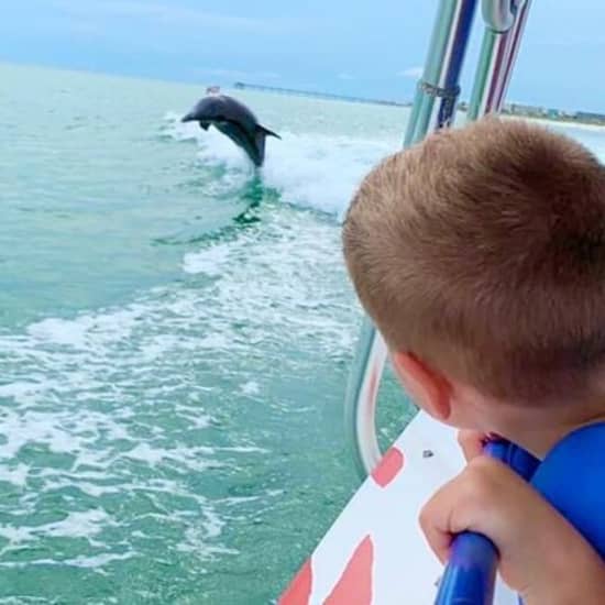 Dolphin-Watching Speedboat Cruise in Destin Harbor