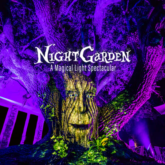 NightGarden: A Magical Light Experience