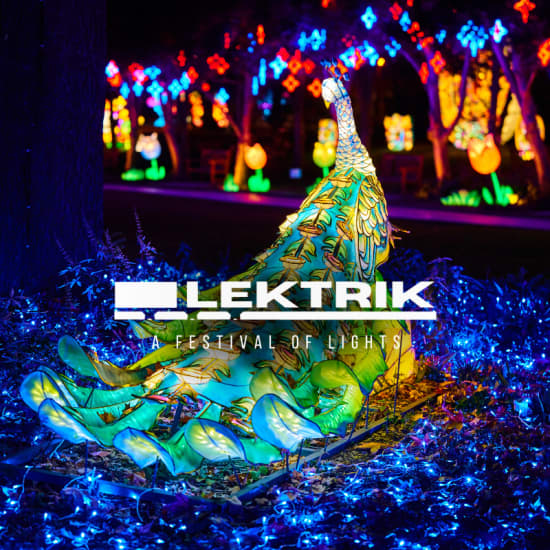 Lektrik: A Festival of Lights