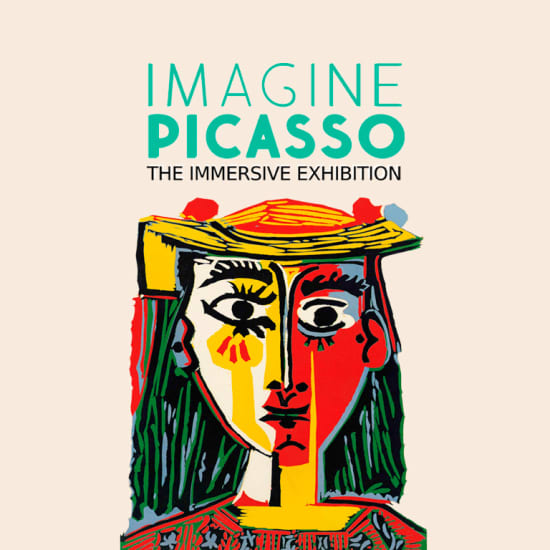 Imagine Picasso: The Immersive Exhibition