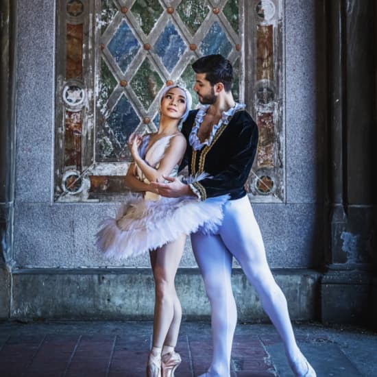 Classical Ballet: Tchaikovsky's Swan Lake