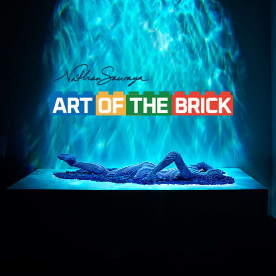 The brick art sale