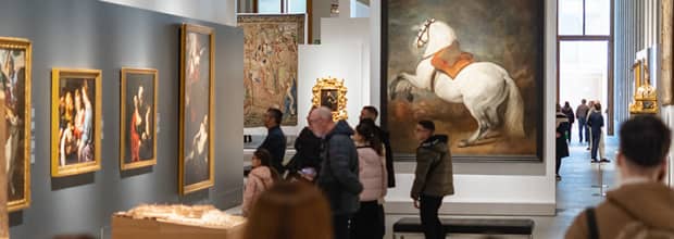 Regala Galería 2