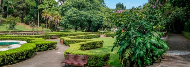 São Paulo Botanical Garden