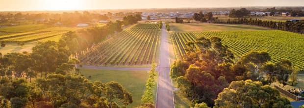 Sandalford Wines