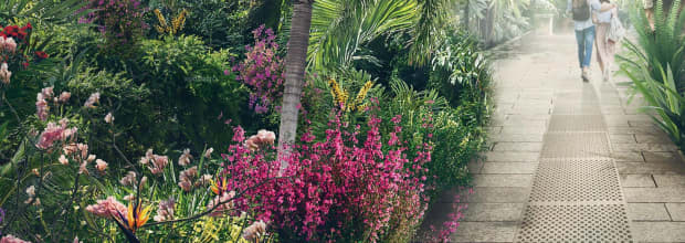 Royal Botanic Gardens, Kew
