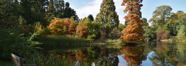 Royal Botanic Gardens, Kew