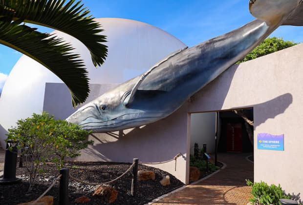 Maui Ocean Center, The Aquarium of Hawaii