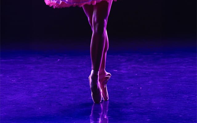 Ballet of Lights: Sleeping Beauty in a Sparkling Show