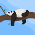 User profile avatar
