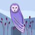 User profile avatar