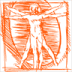 User profile avatar