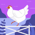 User profile avatar
