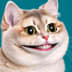 User profile avatar