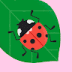 User profile avatar