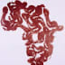 User profile avatar