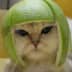User profile avatar