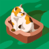 User profile avatar