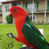 User profile avatar