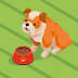 User profile avatar