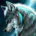User profile avatar