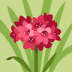 User profile avatar